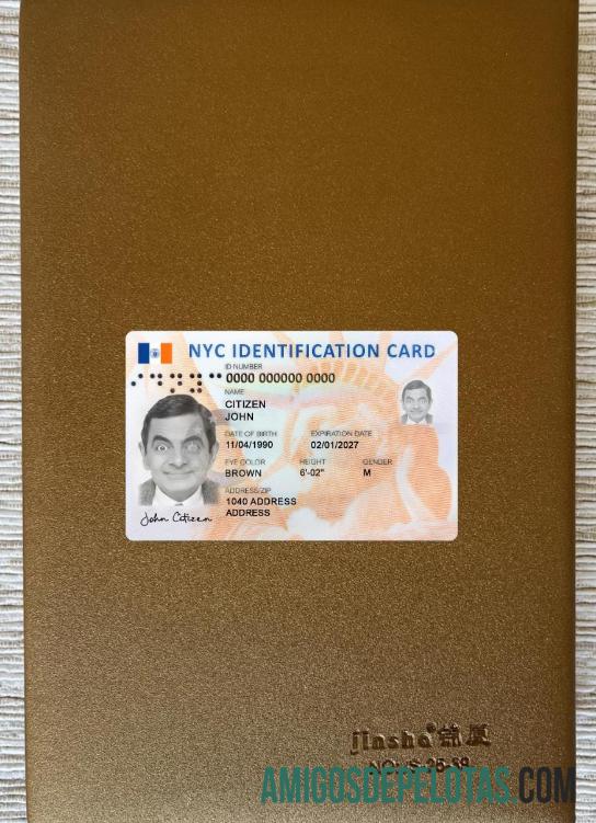 USA New York New ID Card olhar de foto frente amostra